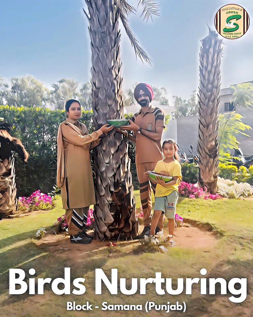 With the inspiration of Saint Ram Rahim ji, Volunteers of Dera Sacha Sauda have together pledged to arrange food &water for the birds on rooftops of their homes. Volunteers even arrange bird houses at various spots in their respective places. #HelpBirdsInSummers Birds Nurturing