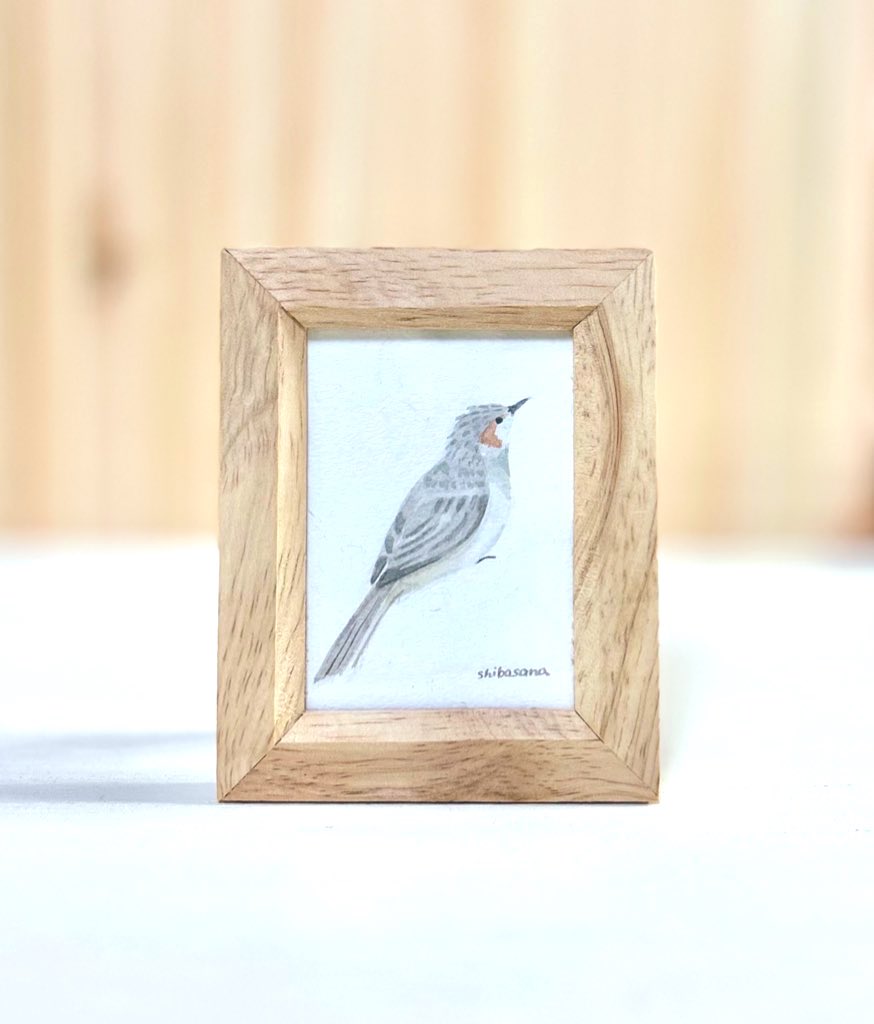 お世話になってる<a href="/shiba373/">しばさな🌿クリマ両日M-168,169</a> 様のかわいい鳥さんの絵をデザフェスにてゲット♡
早速飾って癒されてるます☺️大切にします♡
そして私の絵もご購入下さって本当にありがとうございました🥹🙏
#かわいい鳥　#ヒヨドリ　#絵　#絵画　#鳥