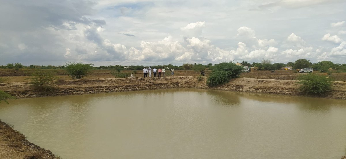 Respected C.E ( R.V.P) and E.E (A.E) Ariyalur inspected a farm pond  along with A.E.E (A.E) Alr,Jkm & Village President  at Ooriyur village of Ariyalur Block and district constructed under *TNIAMP-III 
2021 -22 on 17.5.2024.
Name of the Beneficiary: Mr.Thangaraj