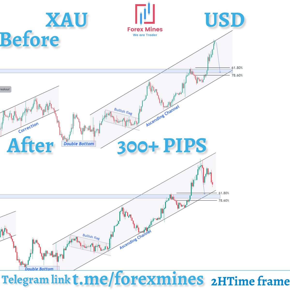 forexmines's tweet photo. #XAUUSD 
Before and After Result 300+ PIPS Profit ✅
Here is My #Telegram Channel Link 📷 https://t.co/EcRmLs29ZW 
#GOLD #XAUUSD #ForexMarket #forextrader #forexsignals #forexresult #TradingTips #forexstrategy #Crypto #cryptocrash #cryptotraders https://t.co/Zaqs1tU1SD