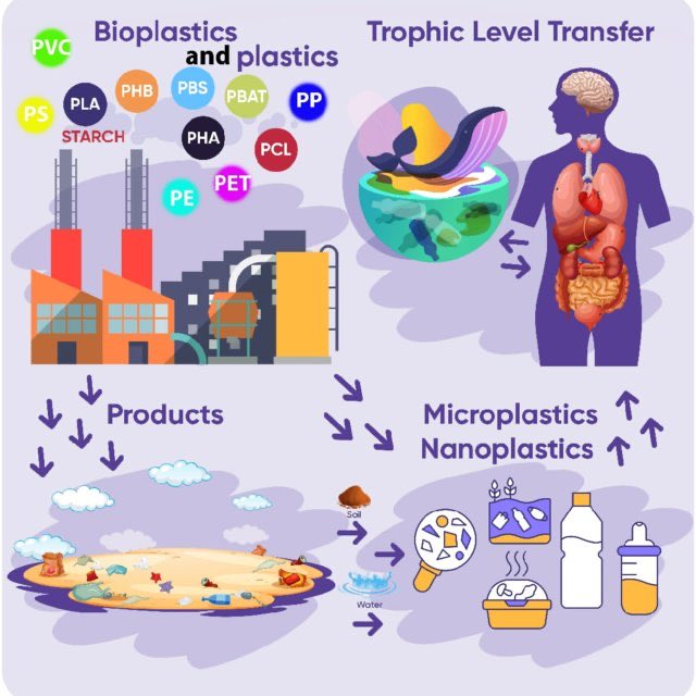 @elonmusk @krassenstein What’s wild is that microplastics are a common ingredient in toothpaste and is used as an abrasive. Additionally, Humans ingest microplastics in the food they consume - as it gets passed to species to species via the food chain via the consumption of lipids. 

Even eating a