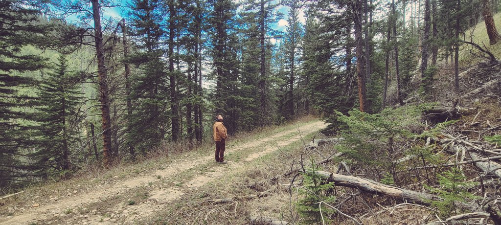 Adventure605's tweet photo. Who said you can't adventure on Mondays?! Stick with us this week for all your 605 outdoor adventure content! If you're not following us, we invite you to! #adventure605 
.
.
.
#Adventuringthe605 #BlackHills #OutdoorAdventure #HifromSD #sdinthefield #greatfacesgreatplaces https://t.co/glkf72NxSl
