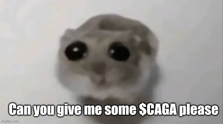 Everyone need $CAGA !!
Buy it on market LoL 
<a href="/_cagacrypto/">CAGA CRYPTO</a> 
<a href="/MalayaNalena/">Nalena Malay</a>