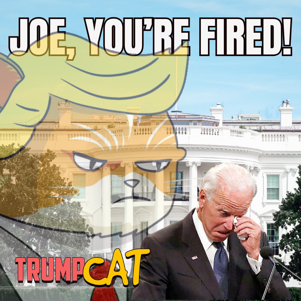 Trump Cat tweet media