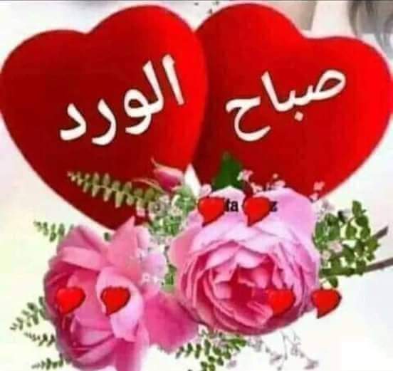 <a href="/Sawsan26M/">⚘️Sawsan basendwa</a>