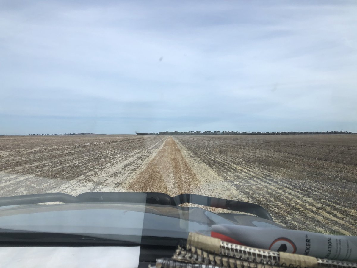 Upside down seed syndrome , paddock on the left was seeded 5 weeks before the one on the right 🏜️🙃