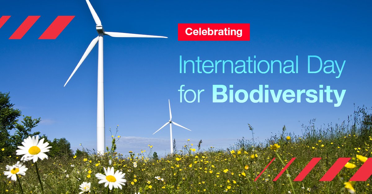 Today is #BiodiversityDay! At Hitachi Energy, we have placed sustainability at the heart of our Purpose, and the protection of biodiversity is #PartOfThePlan to advance a sustainable energy future for all.