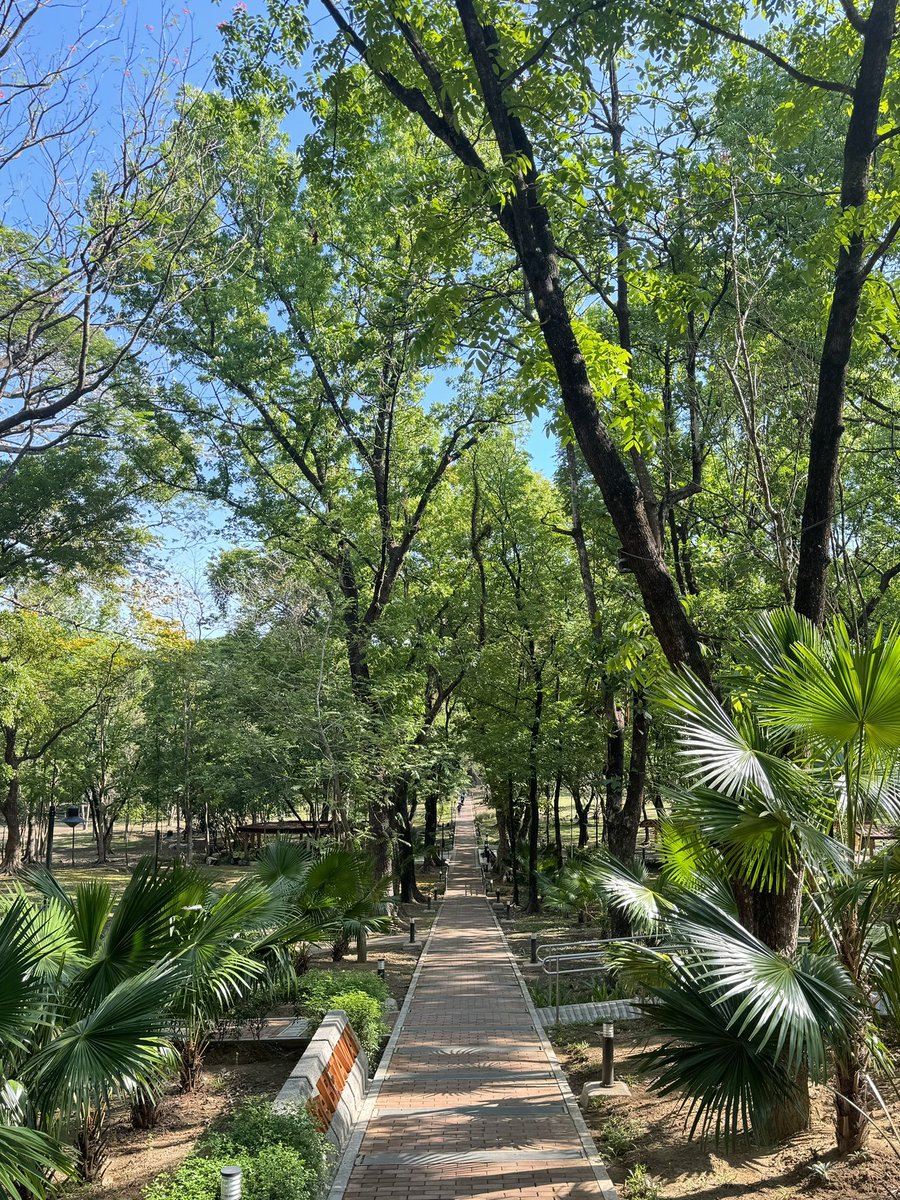 briearchv's tweet photo. entering my running girl era 👟 quick jog to tennis club earlier today! https://t.co/FTtxkxqprp