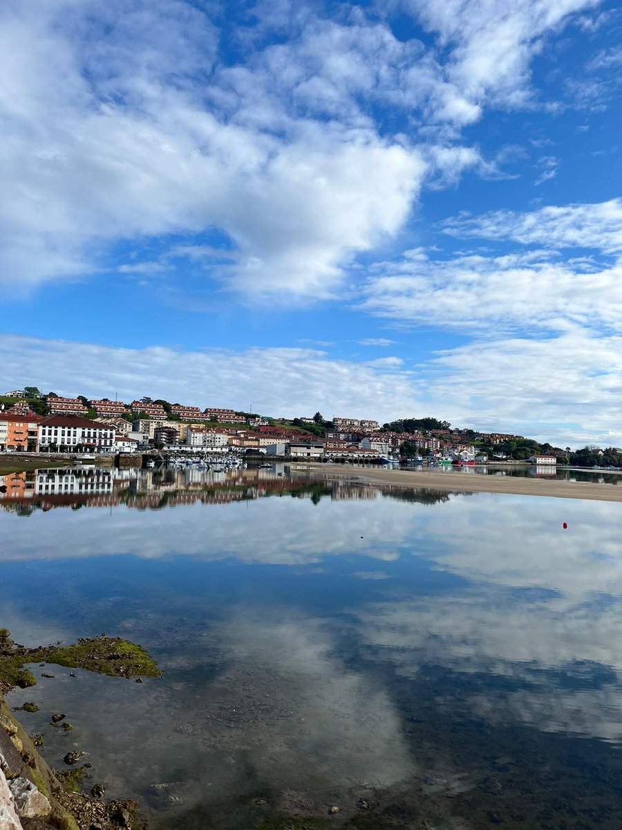 LiberadaNFT tweet media