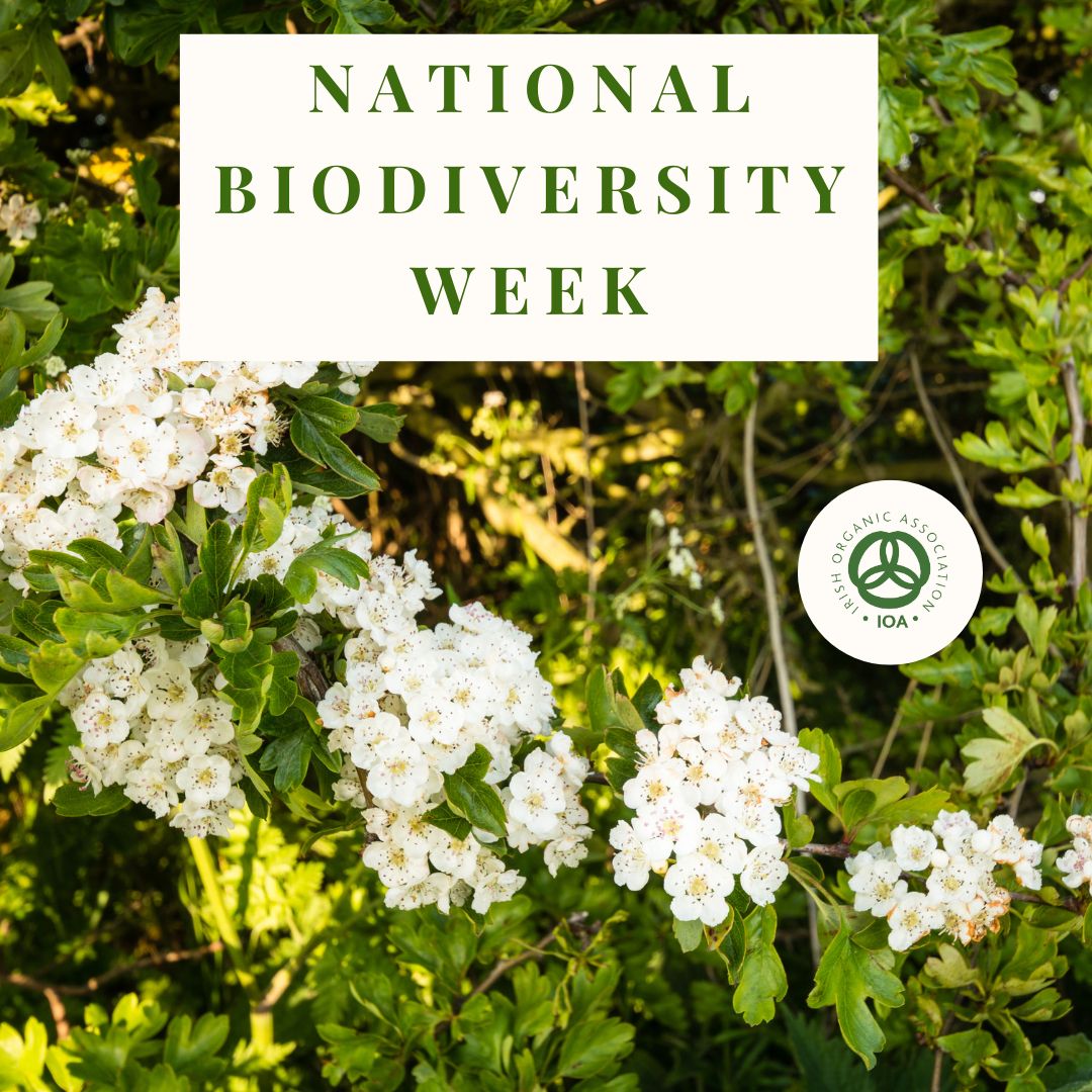 It's National Biodiversity Week (17th-26th) and we would love to hear what you're doing to celebrate biodiversity. Let us know below. #demandorganic #nationalbiodiversityweek