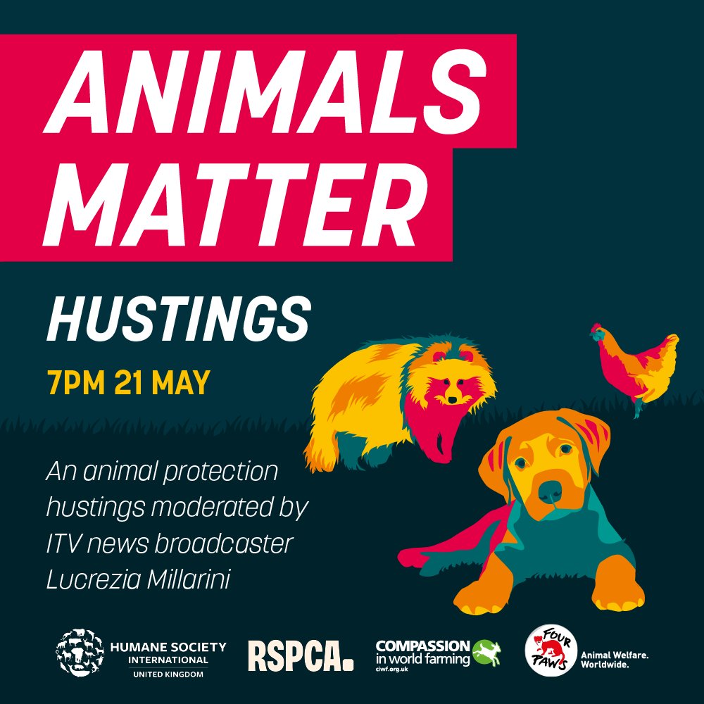 This evening we are hosting an Animals Matter hustings in coalition with @HSIUKorg, @ciwf and @FOURPAWSUK. This is an opportunity for attendees to press major political parties on their policies affecting animals and how they plan to tackle key animal welfare issues.