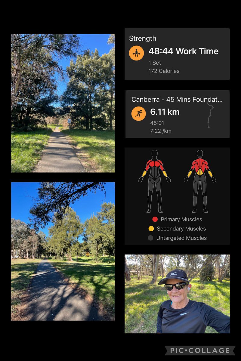 Cathy 🦉 tweet media