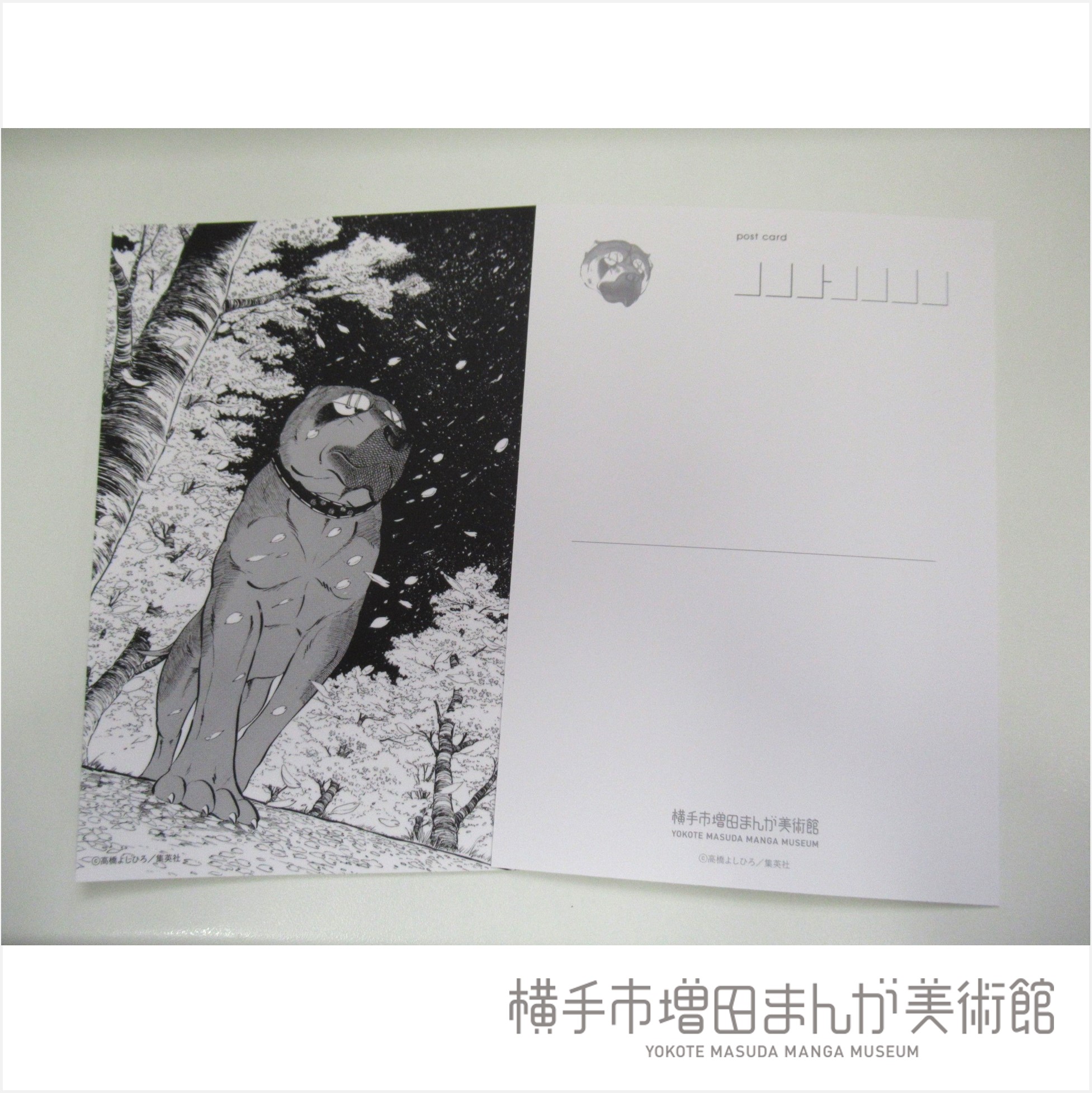 横手市増田まんが美術館（公式） on X: 