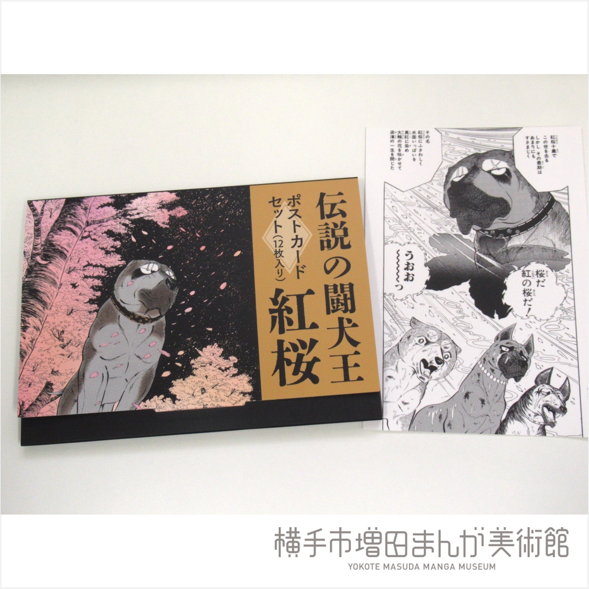 増田 誠【王様と王妃】希少画集画、状態良好、人気作家 、新品