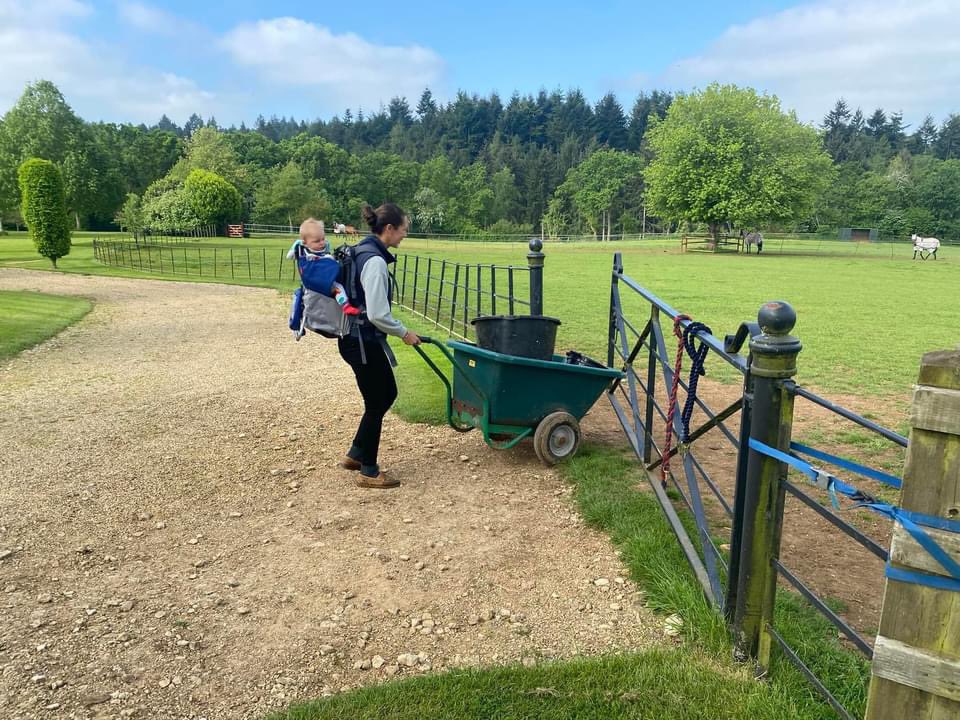 Claire Hart Equine tweet media