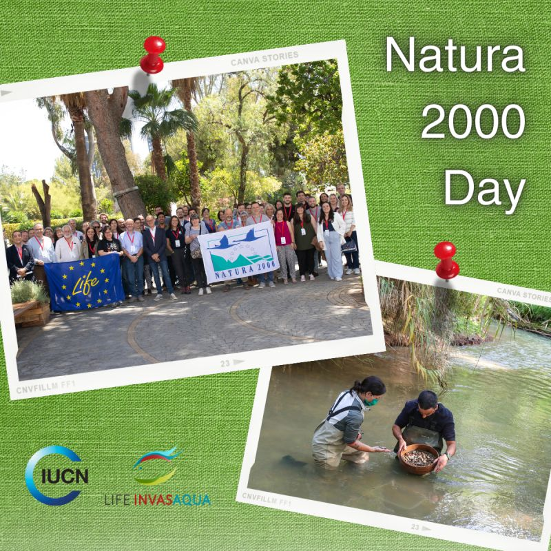 Today is #Natura2000Day!! 30 years later, it is the largest network of protected areas 🗺️ Proud to celebrate LIFE Invasaqua is finalist for the Natura 2000 Awards for its work on Invasive Alien Species!! Explore our app: ibermis.org ➡️ lifeinvasaqua.com