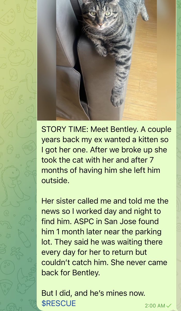 rescue_eth's tweet photo. One of our community members shared this extremely heartfelt story. This is what we are doing this for. Every animal deserves a #BetterLife. Welcome home Bentley. Looks like he’s been feeding you very well. ☺️❤️ https://t.co/8sUe8F9lHL
