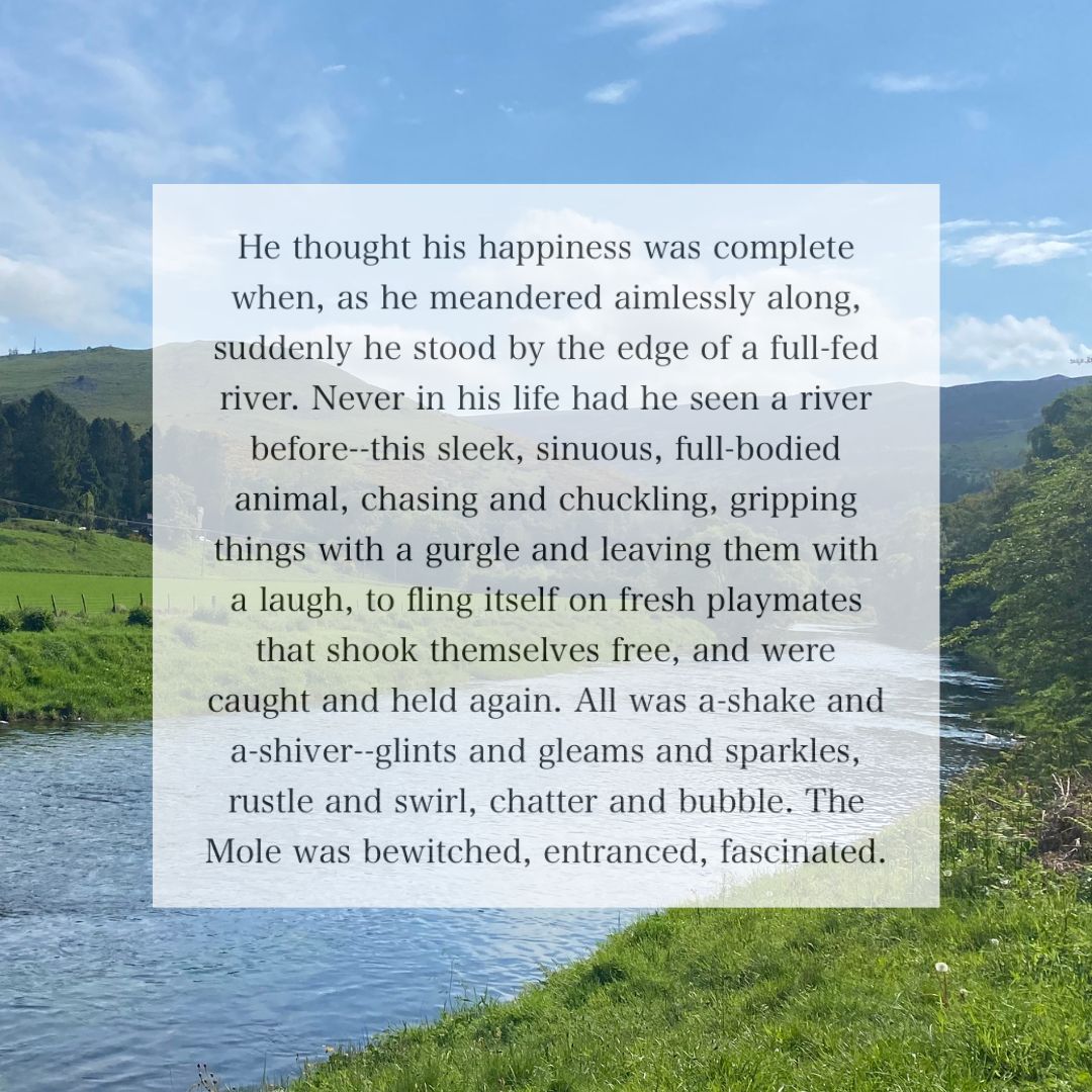 〰️🥾MEANDER〰️ starting off this morning from Ashiesteil Bridge, I’m minded of my favourite and most musical river description ever, by Kenneth Grahame in ‘Wind in The Willows’ 💚〰️ #RiverTweed #meander