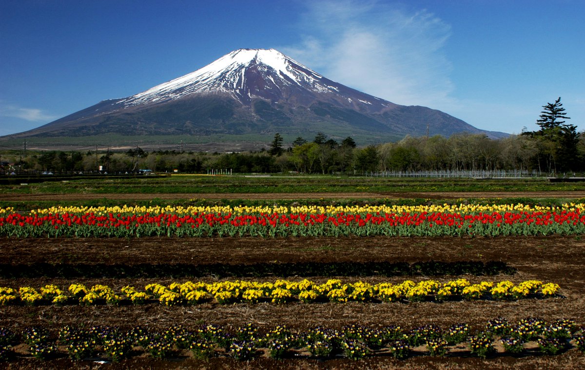ABTOT_UK's tweet photo. #TravelTuesday testimonial from @InsideJapan @InsideAsiaTours "Delighted to have renewed ABTOT membership -we are looking for the continued benefits of membership for the business and continued peace of mind for our customers. Our renewal was smoothly and efficiently handled." https://t.co/xI9pXMBrFG