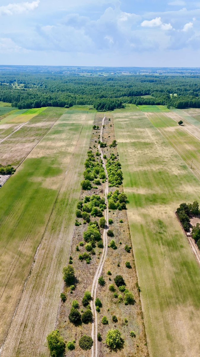 I can't see anything but Manor Lords now