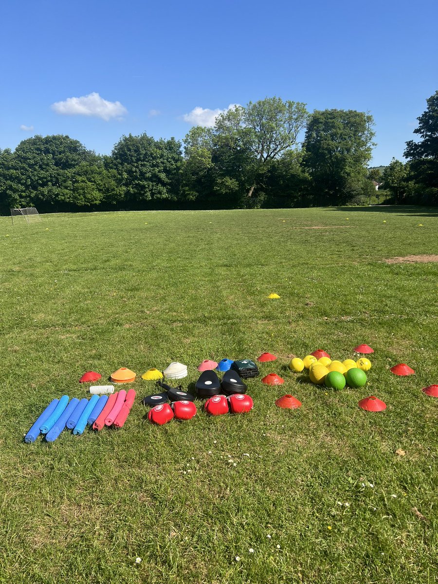 Calzaghe Mini Dragons tweet media