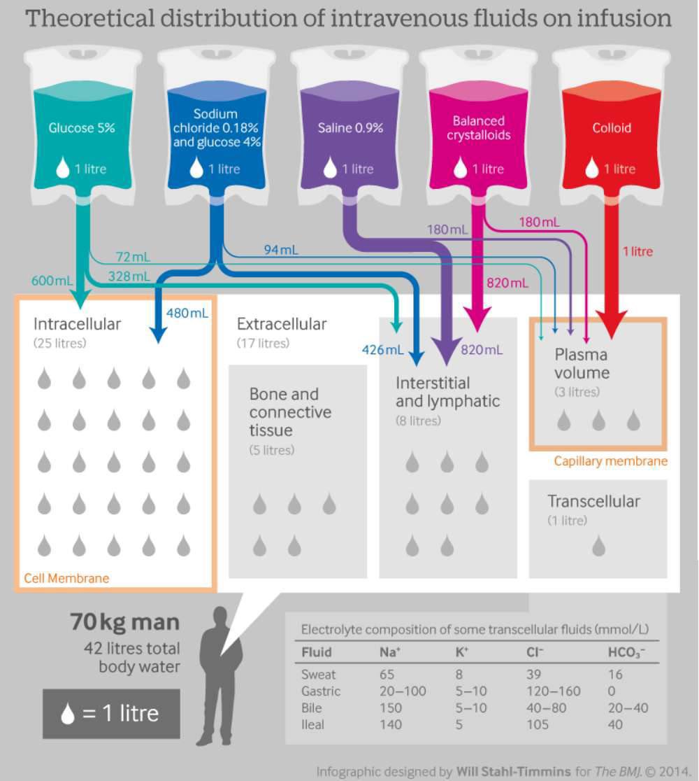 Intravenous Fluids 

#FOAMed  #MedEd #medicaleducation #MedicalStudents #medicalpractice #emergency #medicine 
#TwitterRx #Medtwitter #معلومة_طبية_صحة #تثقيف_دوائي