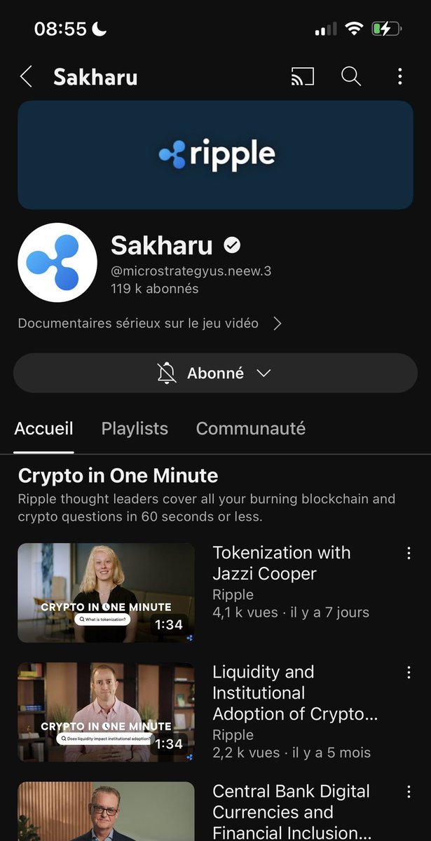 NintendoGameP1's tweet photo. @SakharuJV @TeamYouTube @YouTubeCreators @YTCreateurs A priori, la chaîne est en train de revenir. Bon elle est encore quasiment en état où elle était pendant le hack, mais elle a repris son nom et une partie de la bio de la chaîne, c’est qu’une question de temps https://t.co/tAoo9PnVVC