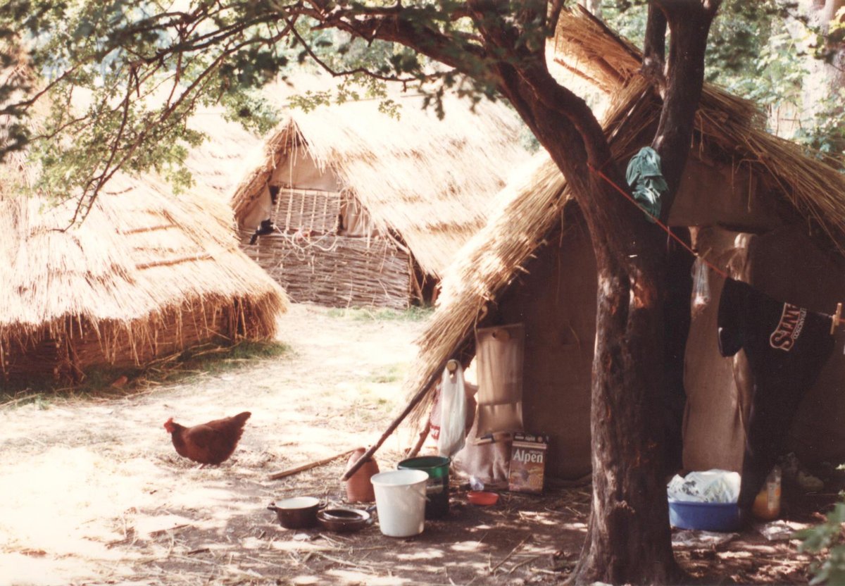 The King Alfred School Archives tweet media