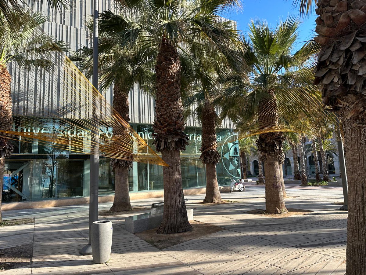 Mucho Más Mayo tweet media