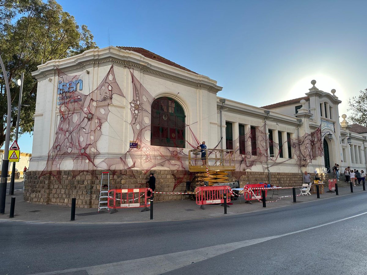 Mucho Más Mayo tweet media