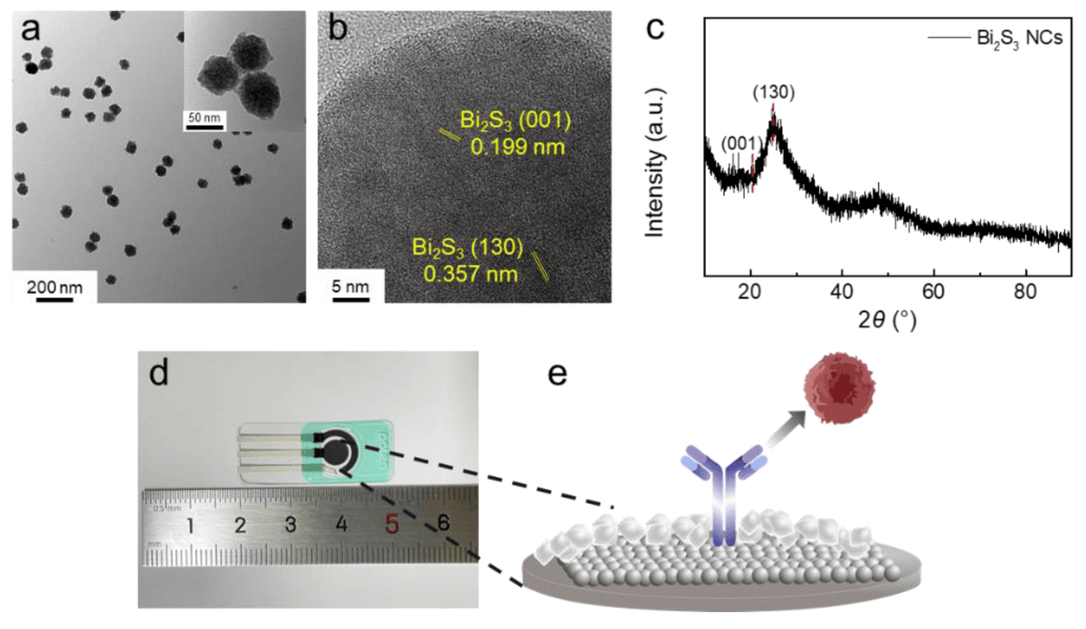 chemosens_MDPI's tweet image. 📢#Article Highly-Cited Paper
Electrochemical Biosensor Employing Bi2S3 Nanocrystals-Modified Electrode for Bladder Cancer Biomarker Detection by Yunong Zhao, et al.

👉doi.org/10.3390/chemos…

@MDPIOpenAccess @HUST_China

#electrochemicalbiosensor #biomarkerdetection