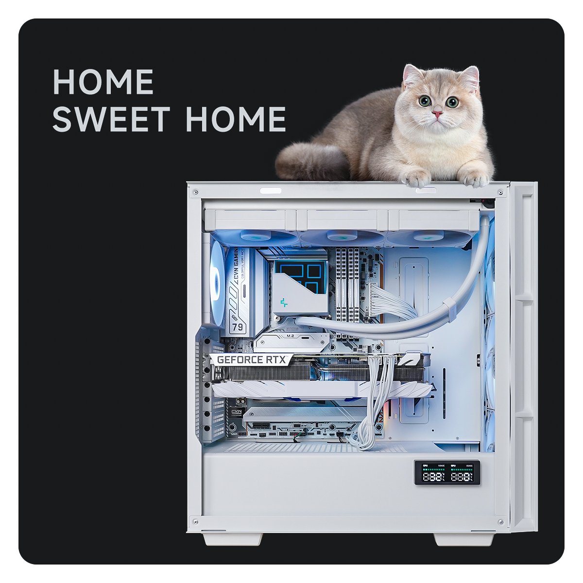 Anyone else's cat love on the case? 🐱🏠

Case: CH560 DIGITAL WH
Liquid Cooler: LT720 WH

#Deepcool #ch560digital #gamingsetup #gamingpc #gamerlife #TechTrends #GamingFun #pcsetup #pcmasterrace #pcgaming #pcgamer #techlover #furryfriends #meme #memes #fyp