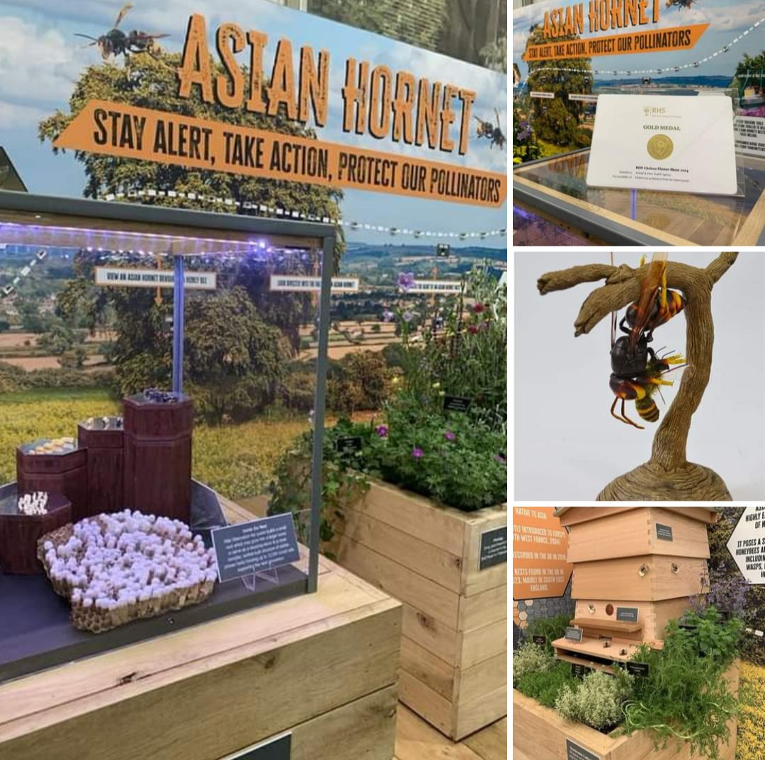 Animal Plant Heath Agency (APHA) stand has won a gold medal at the Chelsea Flower Show. Great for raising public awareness.