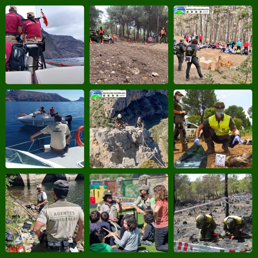 Es un orgullo para los Cuerpos de #AgentesMedioambientales dar servicio diario de custodia en la #RedNatura2000. La conservación y mejora de la gran biodiversidad que posee España es una obligación y un derecho constitucional.
🇪🇸
👮🏻‍♂️👮🏻‍♀️
🌲🌳
🐻🐸🦅🦉🦇🐺
🦋🦗🦎🐍🐟🐳
#Natura2000Day