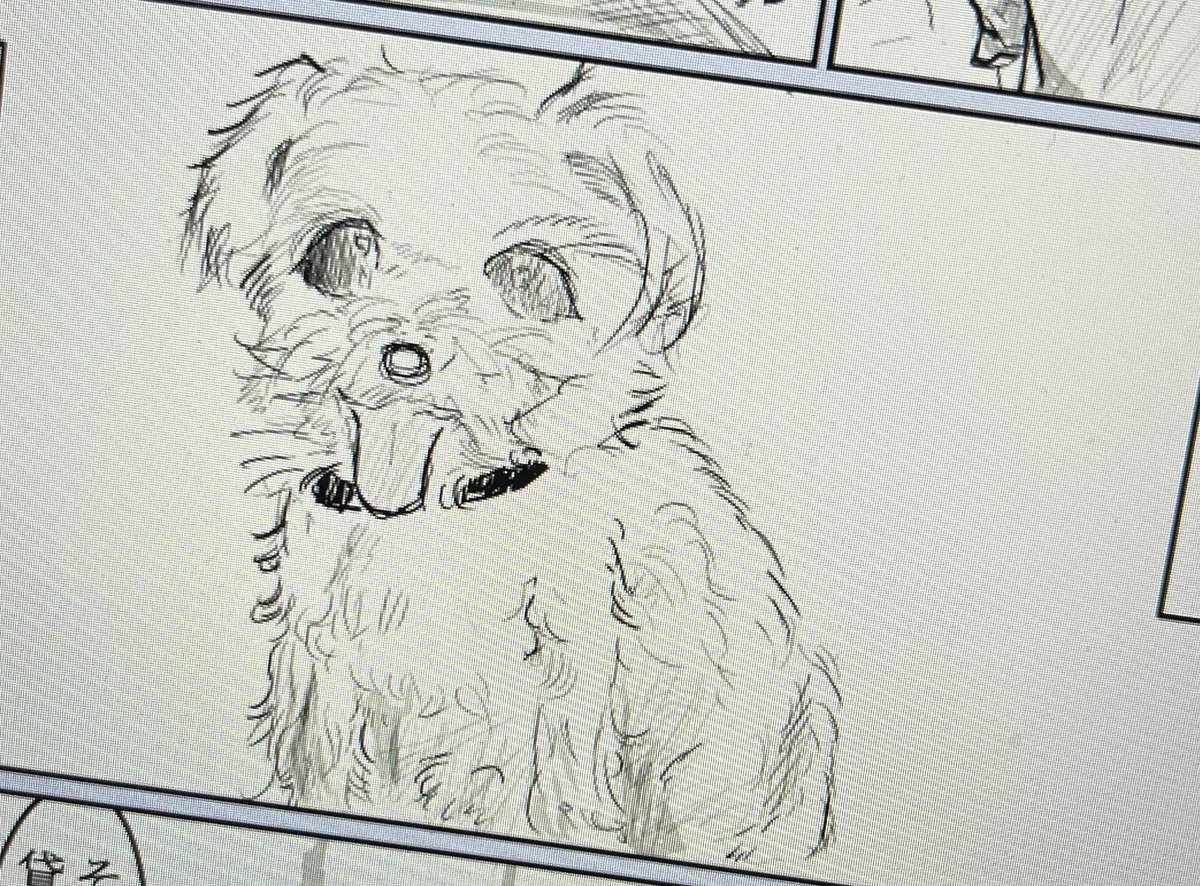 犬の漫画を描くも犬の難しさに悩む
本当はもっともっともっと可愛いのに
温かくてふわふわしてて小さいのだ🐶 