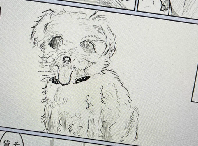 犬の漫画を描くも犬の難しさに悩む本当はもっともっともっと可愛いのに温かくてふわふわしてて小さいのだ 