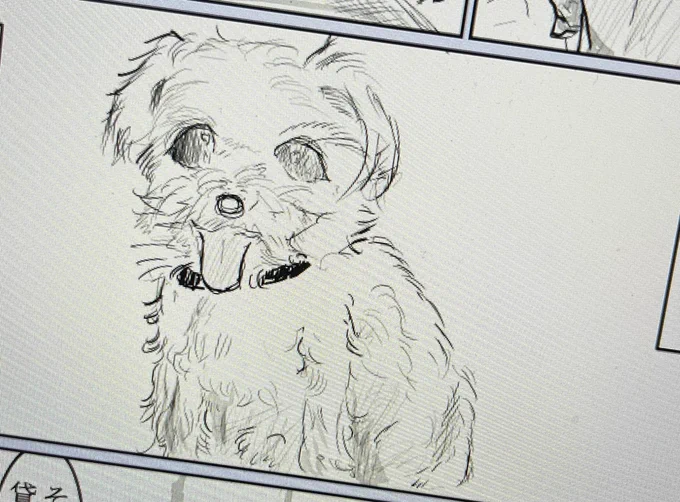 犬の漫画を描くも犬の難しさに悩む
本当はもっともっともっと可愛いのに
温かくてふわふわしてて小さいのだ🐶 