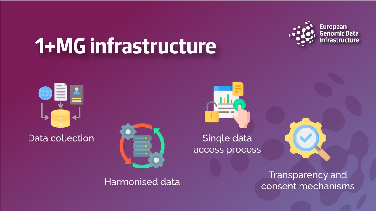 What will 1+MG infrsutructure provide? 🔵 An EU-wide data collection to support evidence-based healthcare 🔵 Harmonised data 🔵 A cost-effective & efficient data access process 🔵 High transparency and consent mechanisms GDI’s work in the past 18 months: loom.ly/SU2KeJo