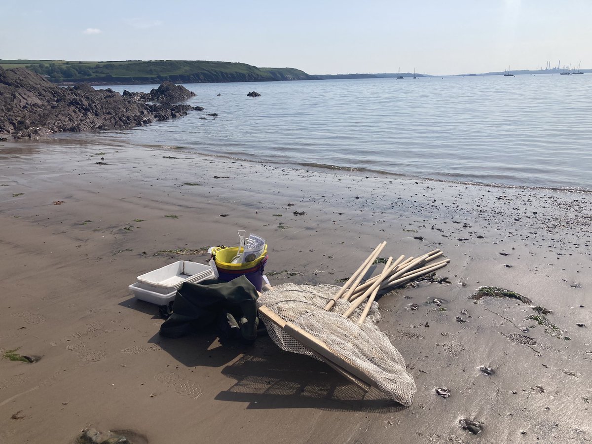 Beautiful day in Dale, ready for some marine biology with Countryside Managmenet students from @PembsCollege #fieldtrip #marinebiology #coasts #intertidal #rockyshore #pembrokeshire @DragonLng