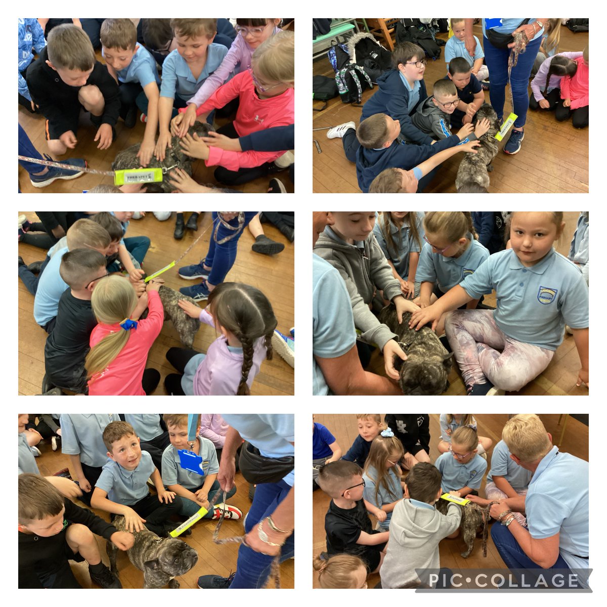Mrs Lyons and Primary 7 tweet media