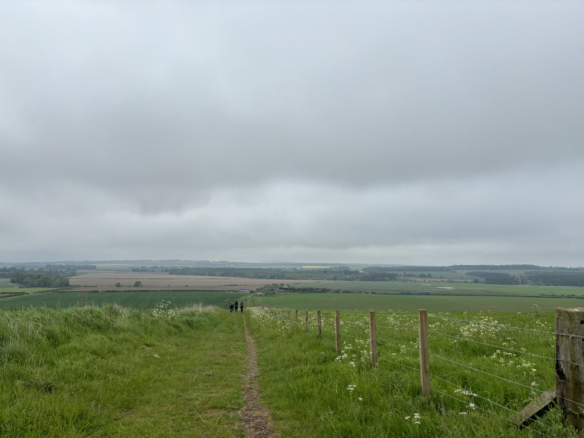 MGS D of E tweet media