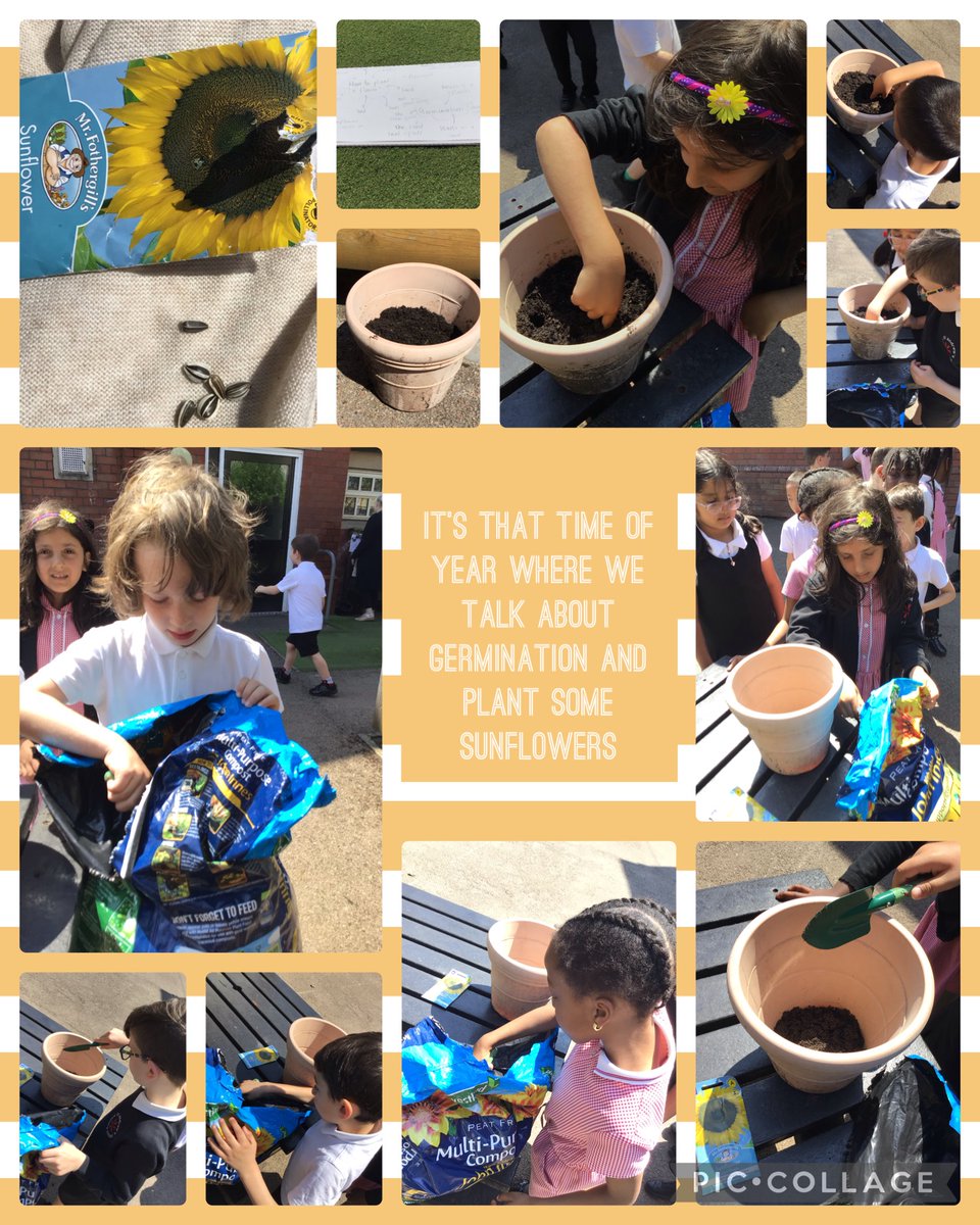 Miss Corner tweet media