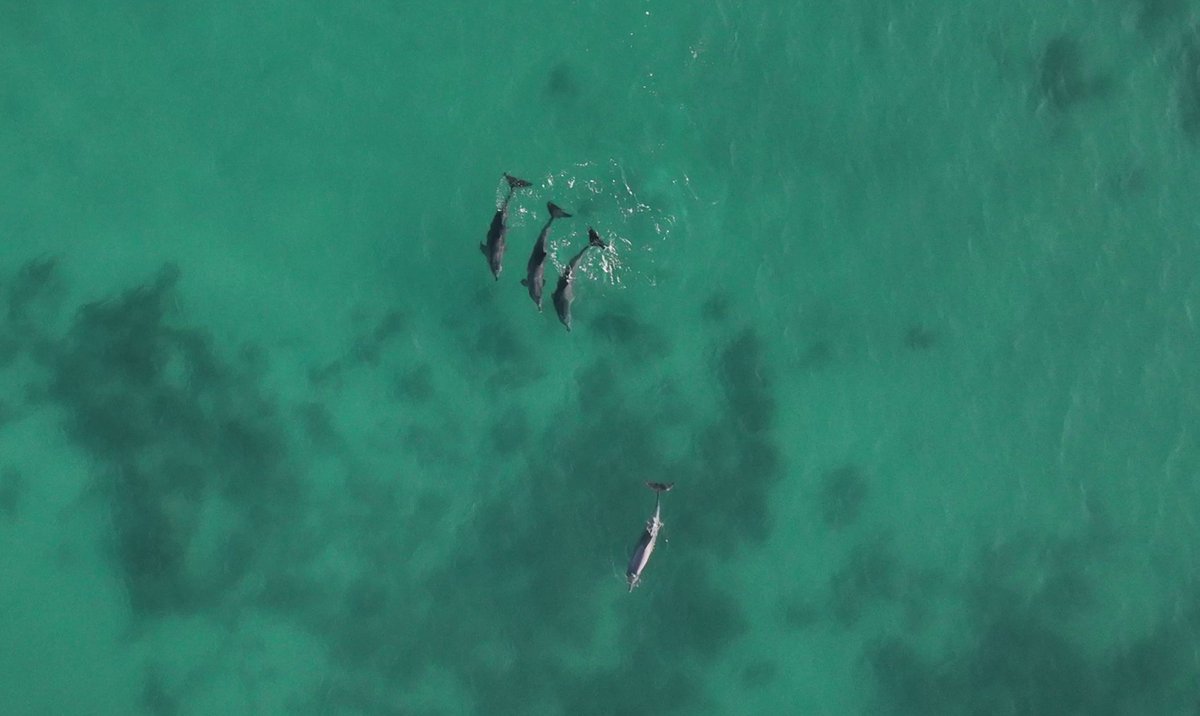 Emma Chereskin tweet media