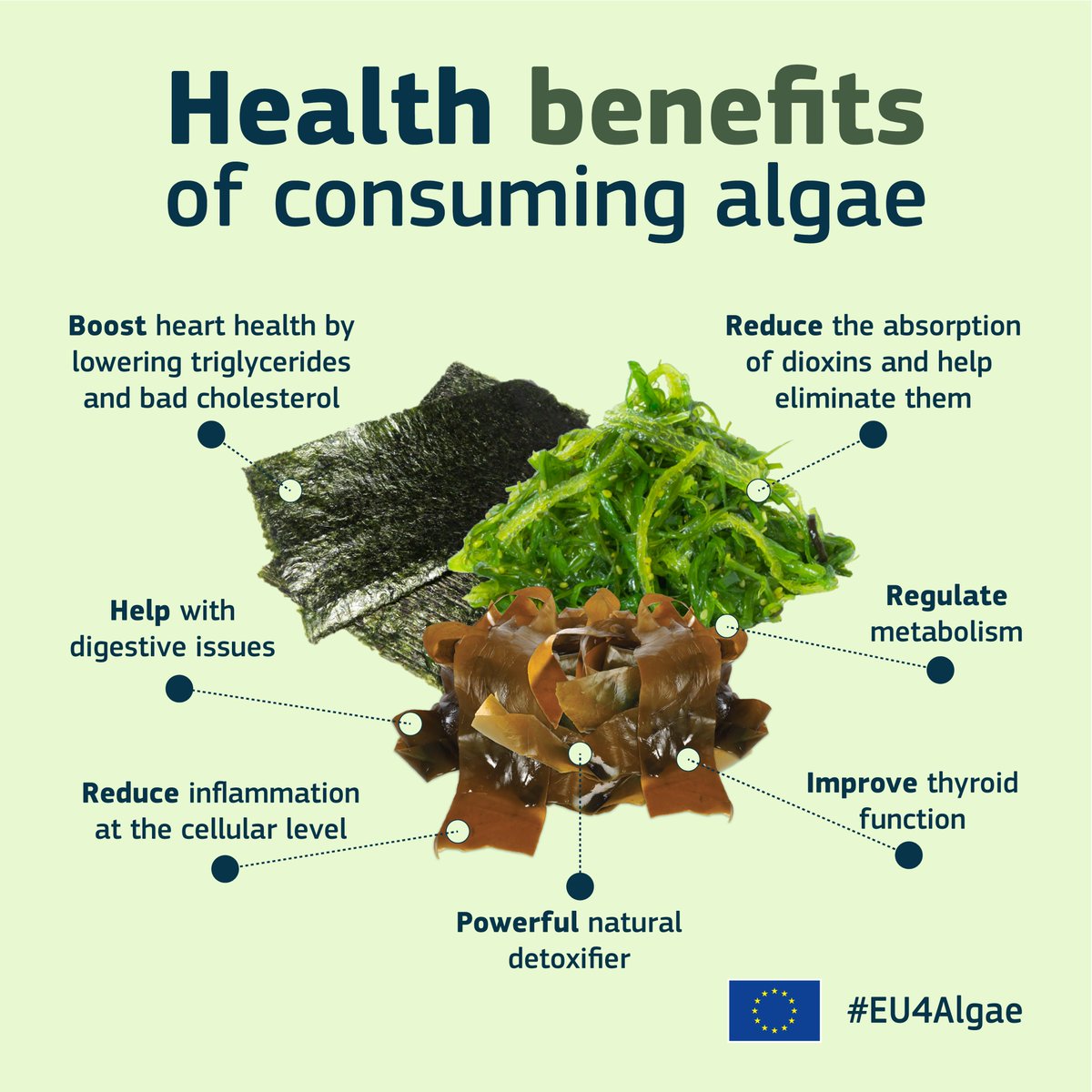 Improve your health with nature’s superfood! 🌱 From reducing inflammation to helping digestion, #algae offer many benefits to support your well-being. Find out more below 👇 #EU4Algae #EU #EMFAF