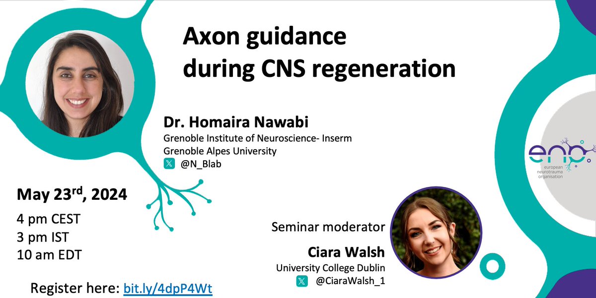 European Neurotrauma Organisation (ENO) (@enoneurotrauma) on Twitter photo A reminder to join our ENO webinar this Thursday 23rd May! 🎉
Dr. Homaira Nawabi <a href="/N_Blab/">Nawabi-Belin lab</a> will discuss her research on “Axon guidance during CNS regeneration” and will be moderated by <a href="/CiaraWalsh_1/">Ciara Walsh</a>
Register here: bit.ly/4dpP4Wt A reminder to join our ENO webinar this Thursday 23rd May! 🎉
Dr. Homaira Nawabi <a href="/N_Blab/">Nawabi-Belin lab</a> will discuss her research on “Axon guidance during CNS regeneration” and will be moderated by <a href="/CiaraWalsh_1/">Ciara Walsh</a>
Register here: bit.ly/4dpP4Wt