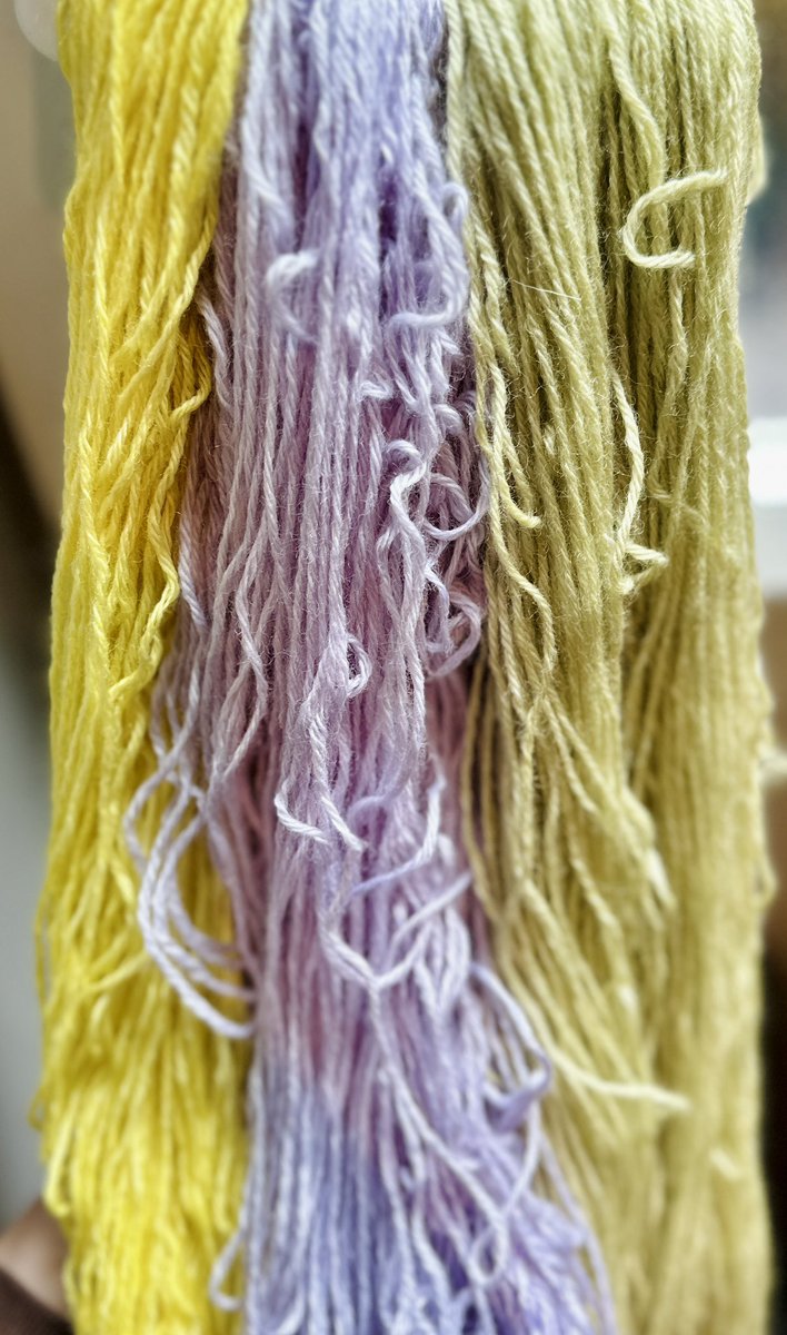 Two stage hand-dyeing this morning. These subtle shades will now have to dry before the next stage to give them the variegated look. It takes time, but it’s time well-spent. justwooltextiles.co.uk #handcrafted #artisanmade #britishwool #slowfashion