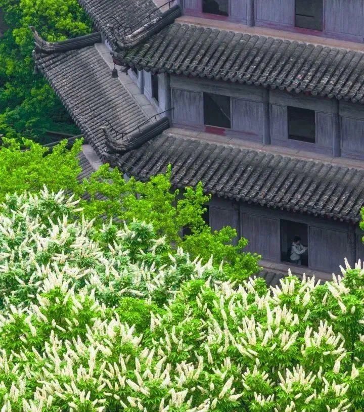EAC_SPACE's tweet photo. Today Hangzhou https://t.co/CNasfr96zc