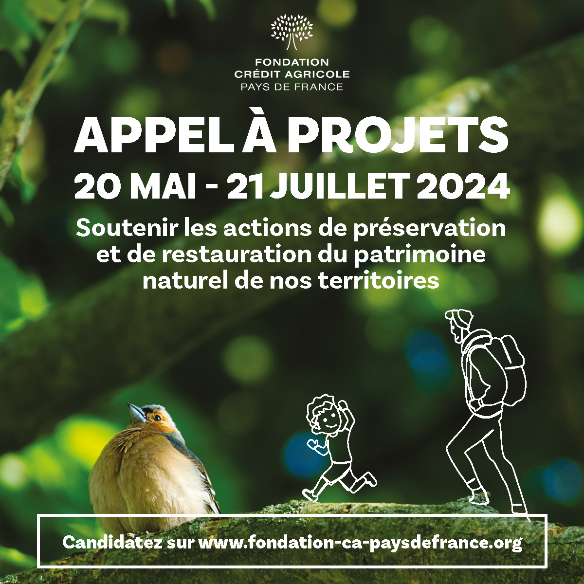 La Fondation Crédit Agricole Pays de France lance son quatrième appel à projets en faveur du patrimoine naturel :

Soutenir les actions de préservation et de restauration du patrimoine naturel de nos territoires.

Du 20 mai au 21 juillet 2024, la Fondation s’engage pour soutenir