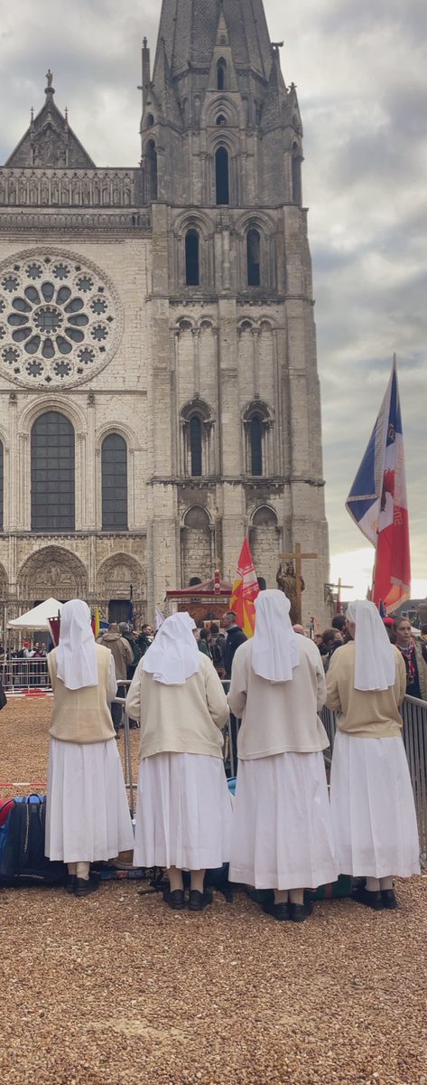 Officiellement la plus belle expérience de ma vie.
#pelerinagechartres #chartresparis #fsspx #pelerinagesdetraditions