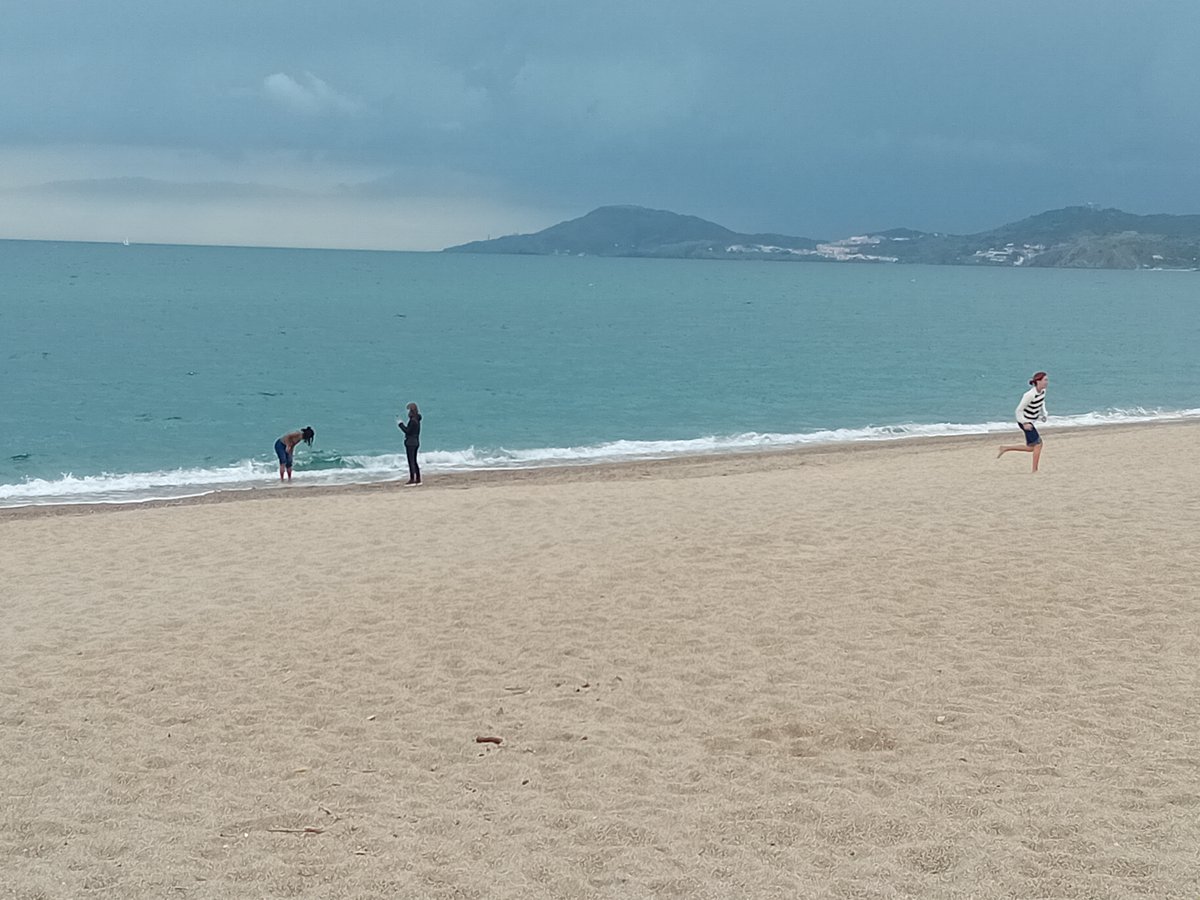 Col·legi Sant Miquel tweet media